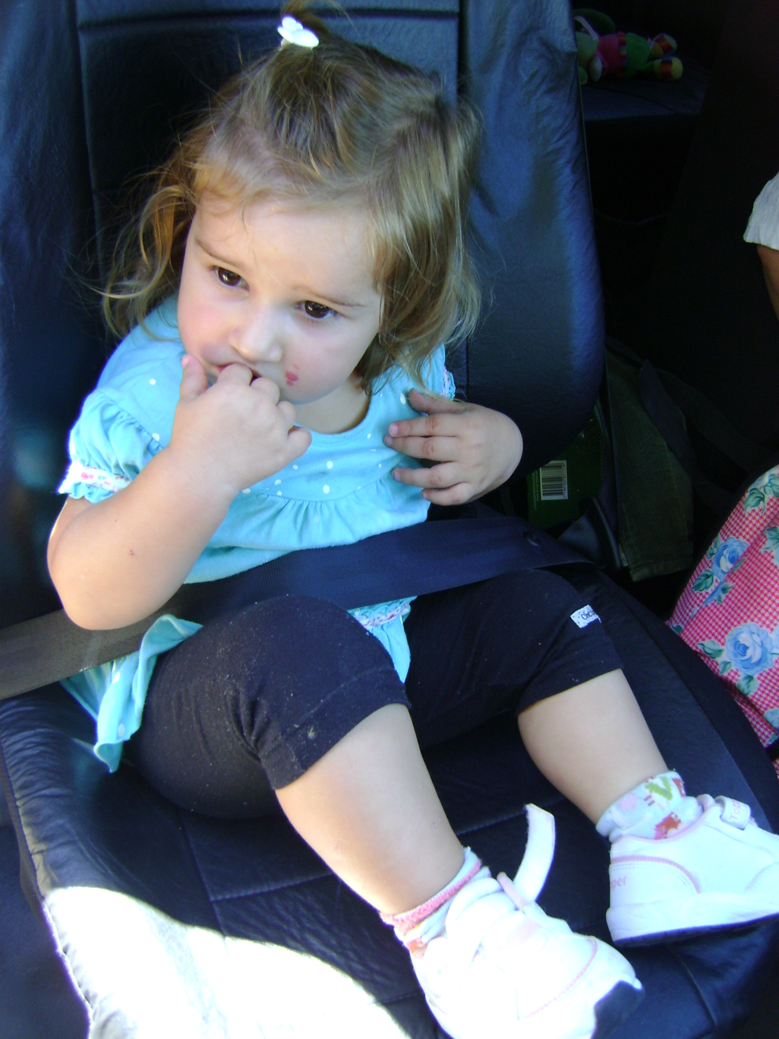 fotos/2012-02-12 - Iara/DSC04932.JPG